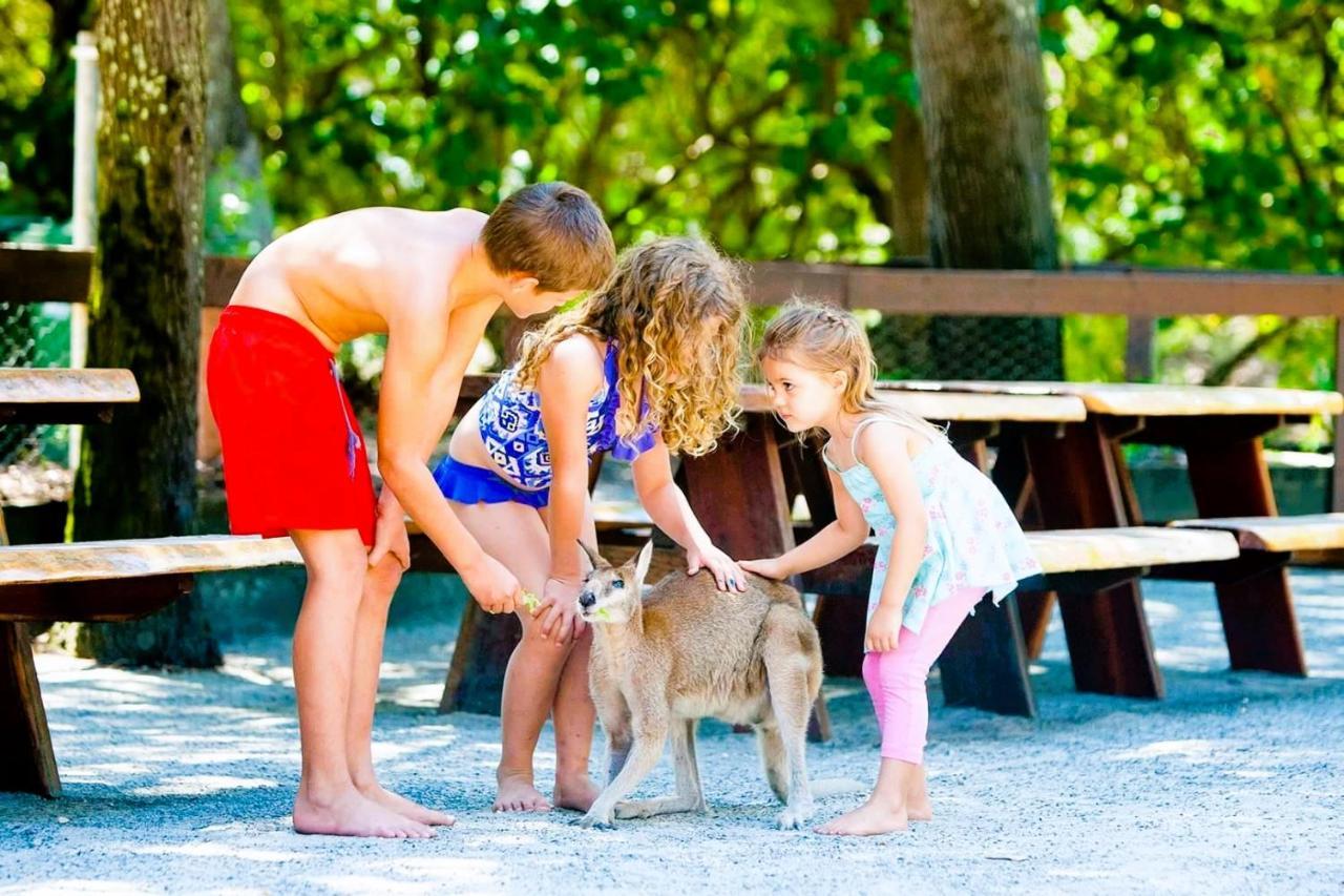 Coomera Houseboats Gold Coast Exterior foto